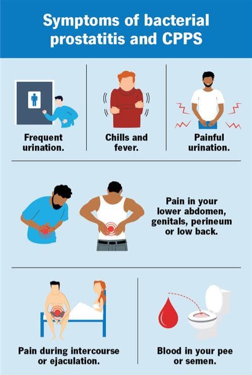 Common symptoms of prostatitis are frequent or painful urination and pain in your abdomen, low back or genitals.